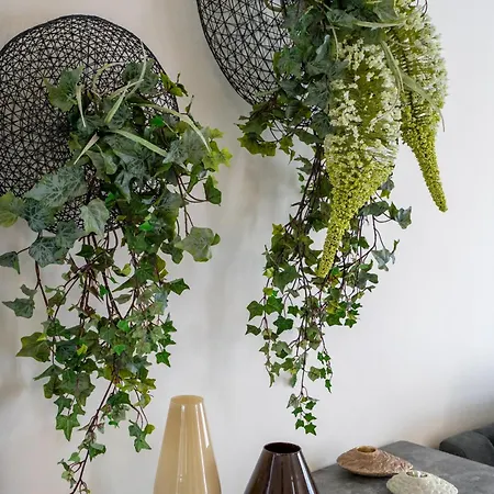 The Wind Of * Protaras